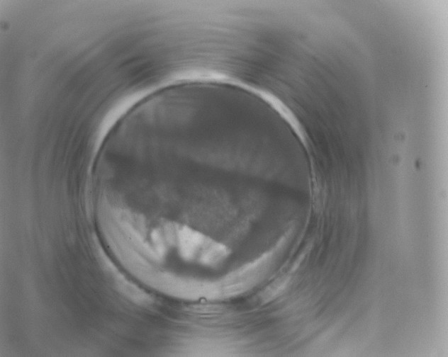 X0000070401295200606302002