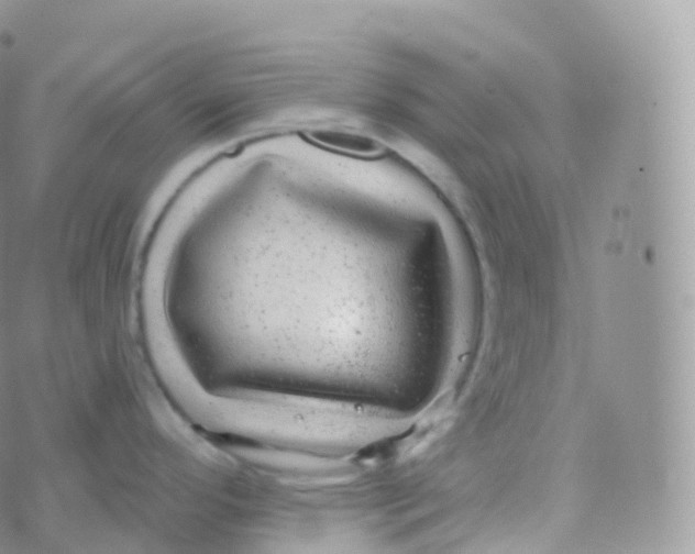 X0000070401296200606302002