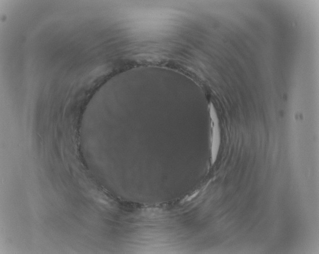 X0000070401297200606302001