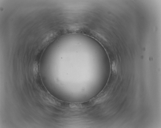 X0000070401299200606302001