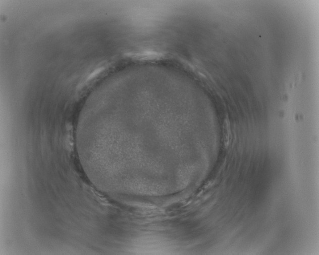 X0000070401301200606302001