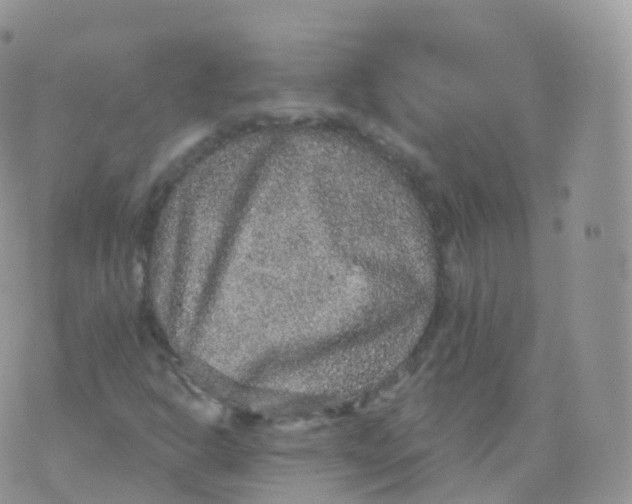 X0000070401302200606302001