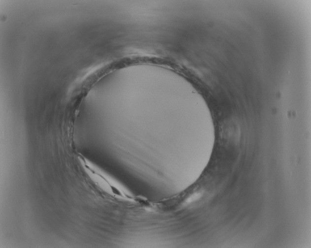 X0000070401303200606302001