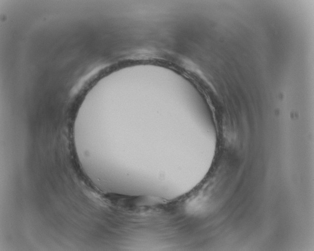 X0000070401304200606302001