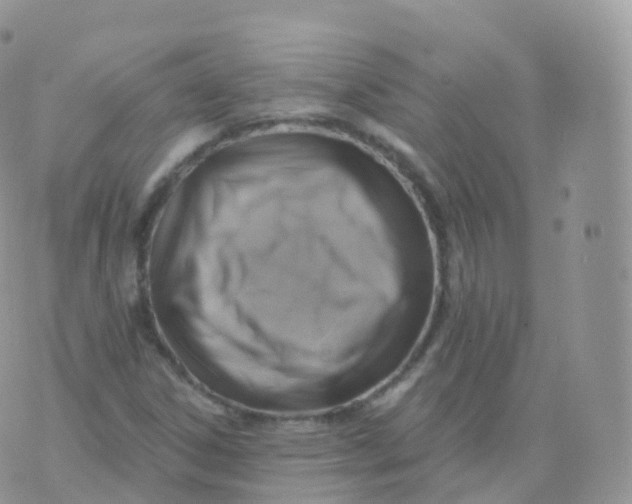 X0000070401306200606302001