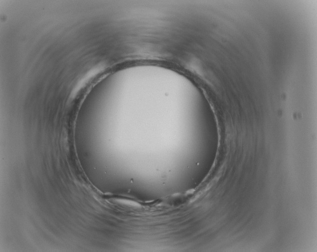 X0000070401307200606302001