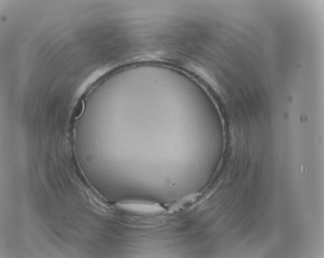 X0000070401308200606302001