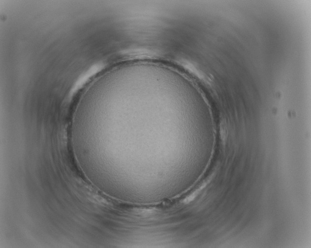 X0000070401309200606302001