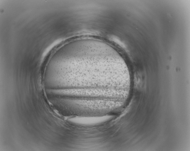 X0000070401310200606302001