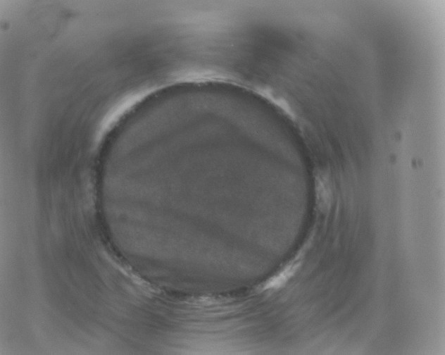 X0000070401311200606302001