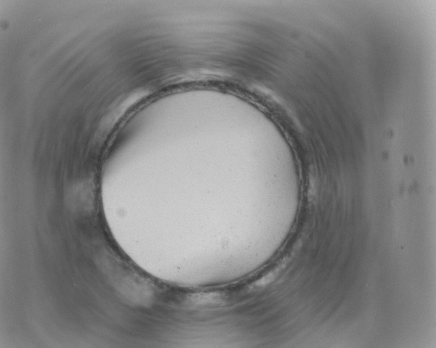 X0000070401313200606302001