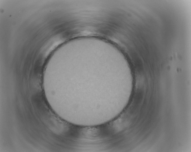 X0000070401314200606302001