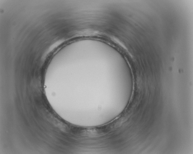 X0000070401315200606302001