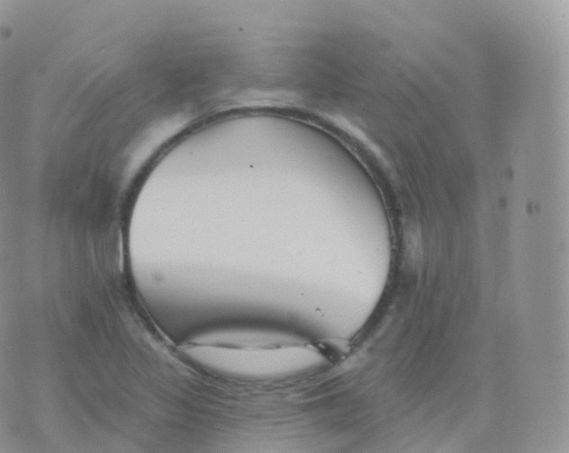 X0000070401317200606302001