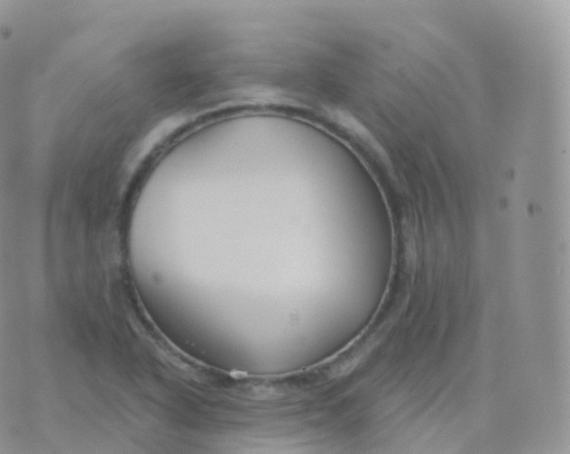 X0000070401318200606302001