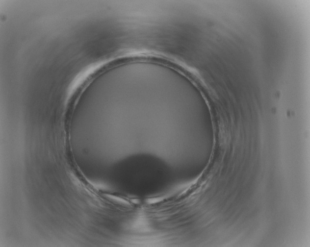 X0000070401319200606302001