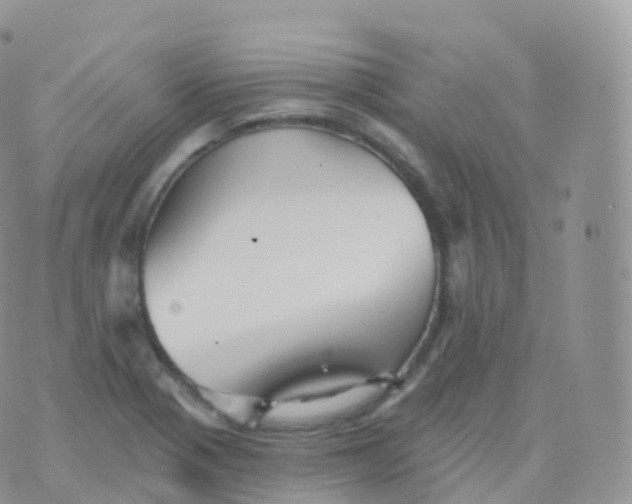 X0000070401321200606302001