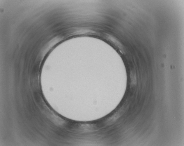 X0000070401322200606302001