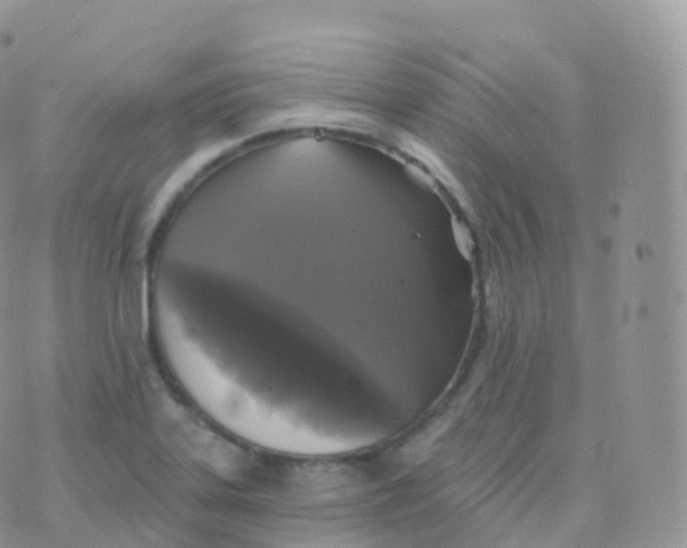 X0000070401323200606302001