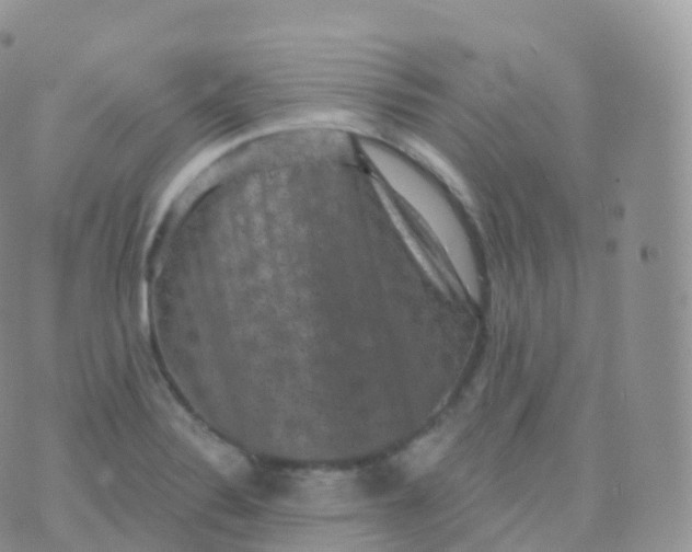 X0000070401324200606302001