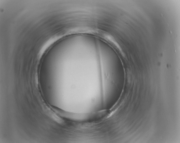 X0000070401328200606302001