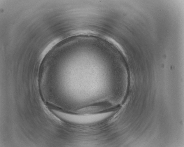 X0000070401330200606302001