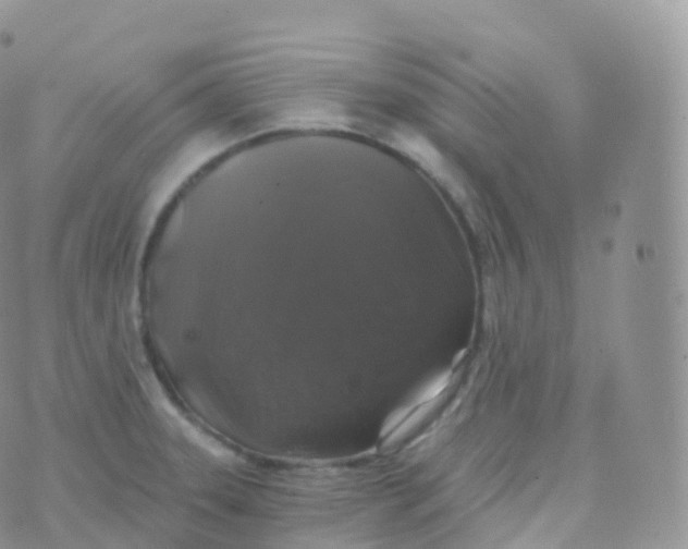 X0000070401331200606302001