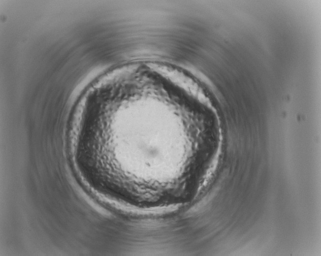 X0000070401333200606302001