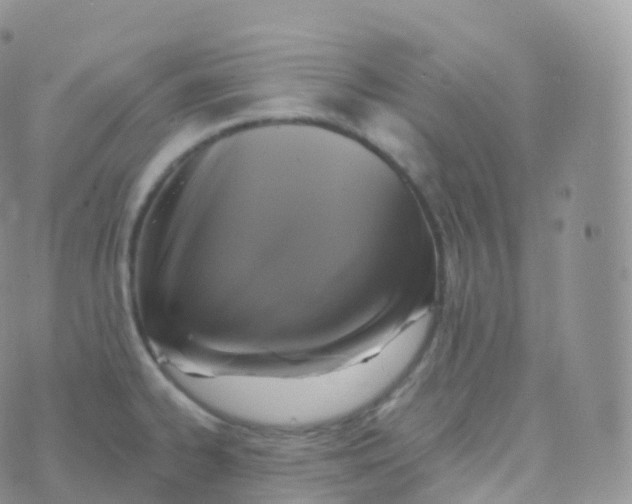 X0000070401334200606302001