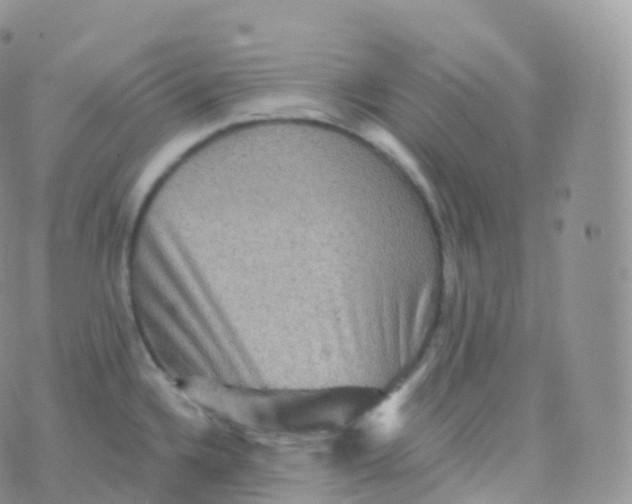 X0000070401336200606302002