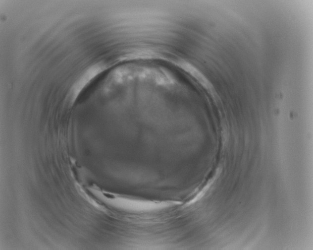 X0000070401337200606302002