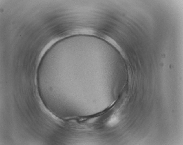 X0000070401339200606302002