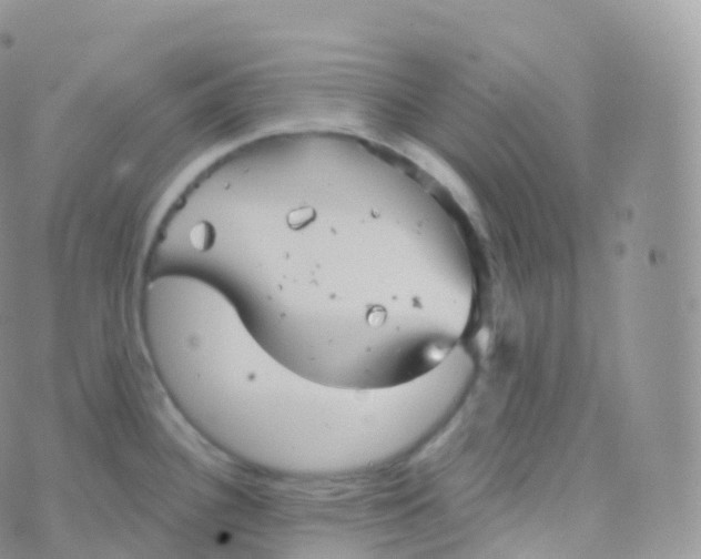 X0000070401340200606302002