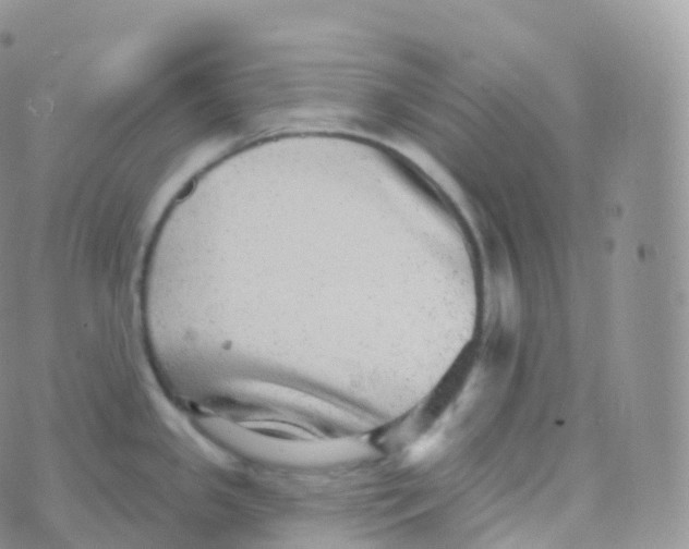 X0000070401341200606302002