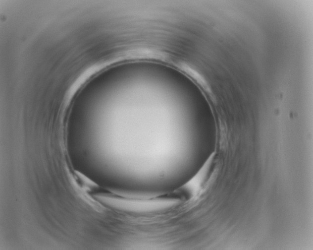 X0000070401342200606302002