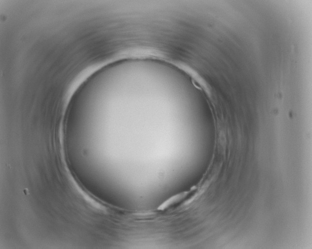 X0000070401343200606302002