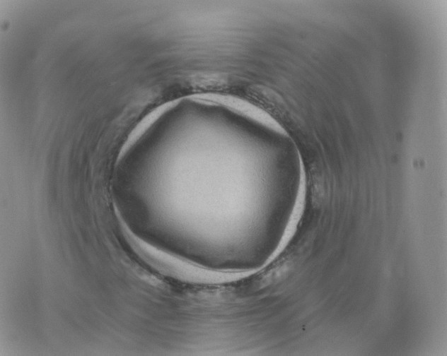 X0000070401345200606302001