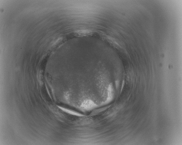 X0000070401346200606302001