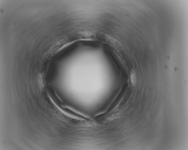 X0000070401347200606302001