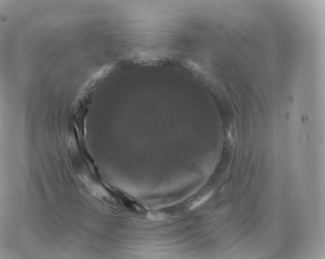 X0000070401348200606302001