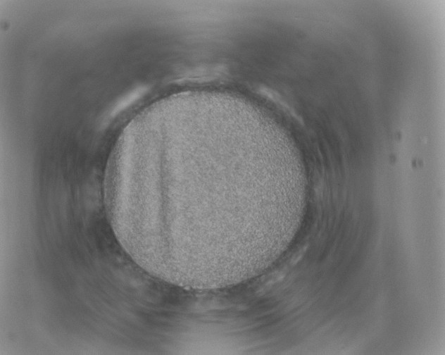 X0000070401350200606302001