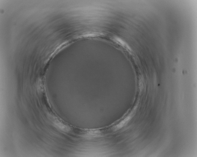 X0000070401353200606302001