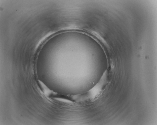 X0000070401356200606302001