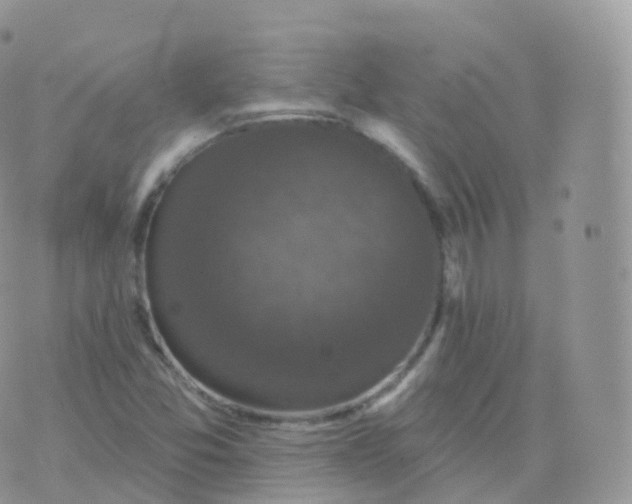 X0000070401357200606302001