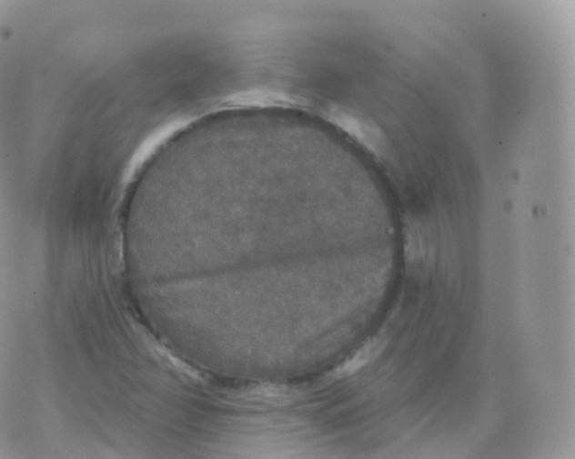 X0000070401358200606302001