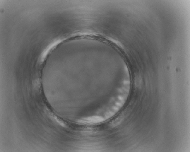 X0000070401359200606302001