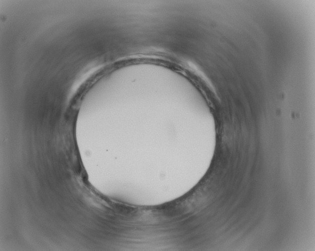 X0000070401360200606302001