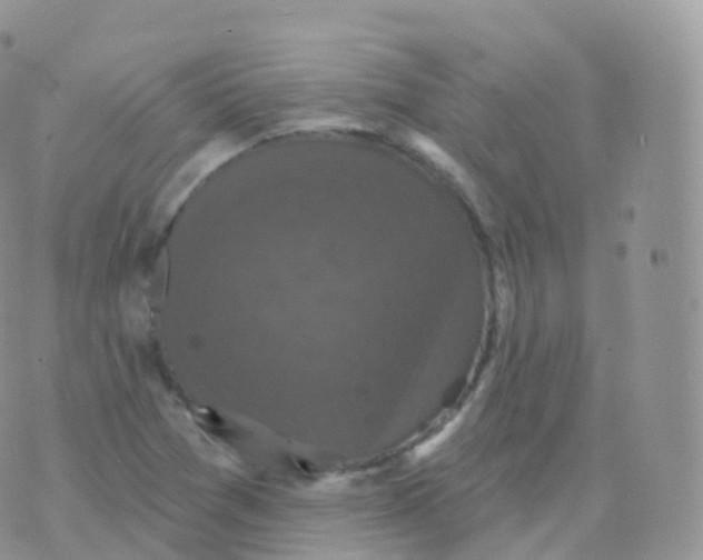 X0000070401361200606302001