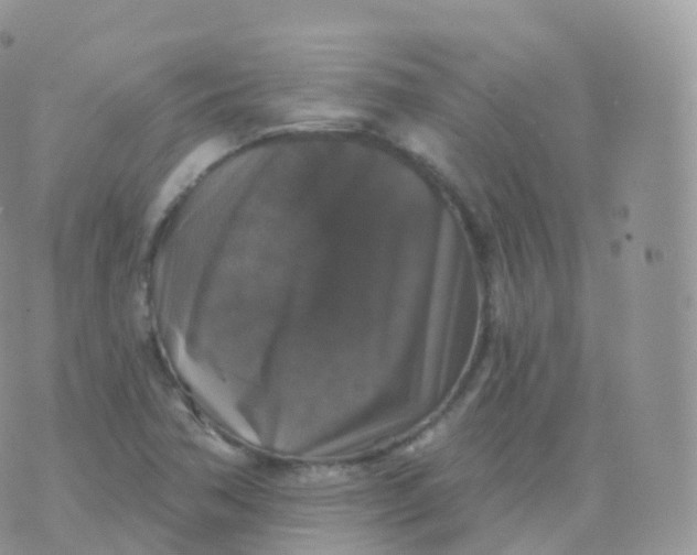 X0000070401362200606302001