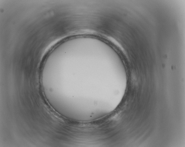 X0000070401364200606302001